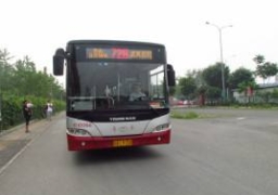 增駕城市公交車
