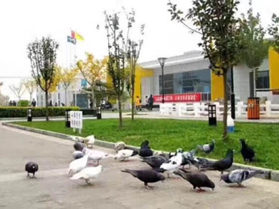 新手開車是需要貼上圖標的