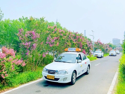 新學(xué)員做好這幾個(gè)步驟，逢考必過