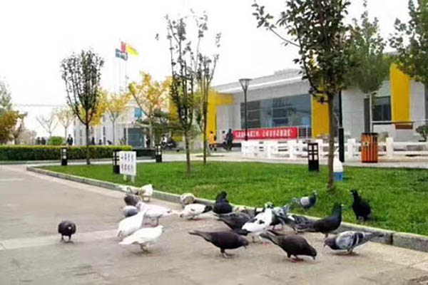 北京東方時尚駕校園區(qū)