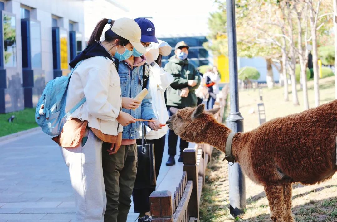 「東方時(shí)尚駕校」