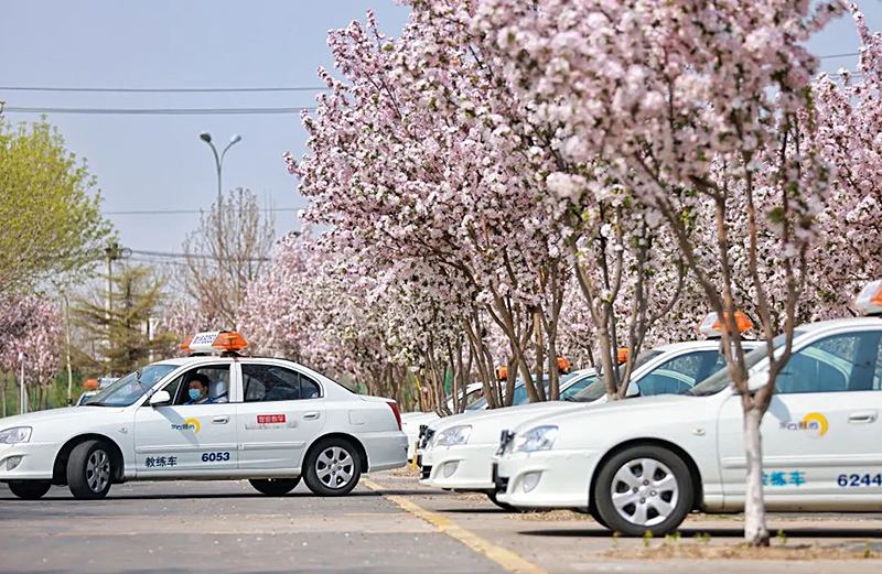 來(lái)北京東方時(shí)尚駕校，赴一場(chǎng)春天之約