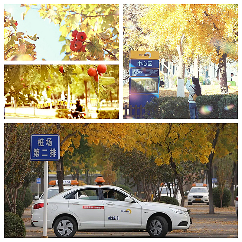 考駕照常遇到的問題有哪些？