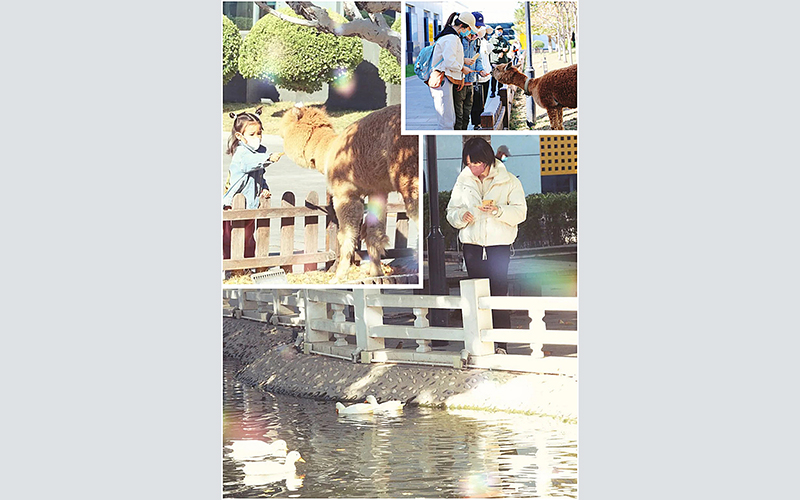 東方時尚駕校服務指南